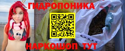 Альфа ПВП Сланцы