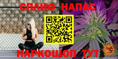 Альфа ПВП Сланцы