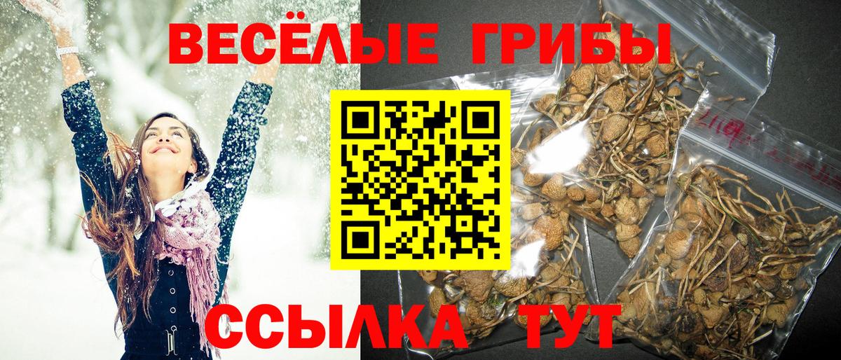 Оренбург  Галлюциногенные грибы GOLDEN TEACHER  Вход с VPN 